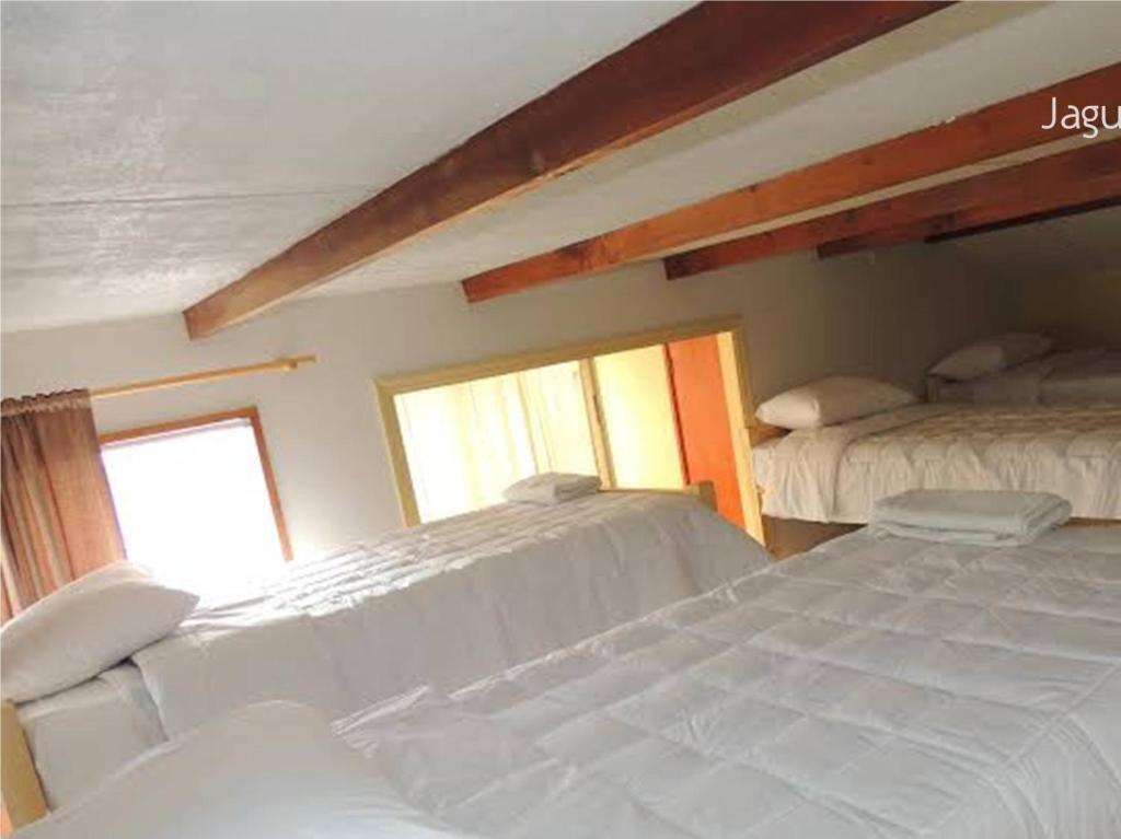 Hostel Jaguar ビニャ・デル・マール 部屋 写真
